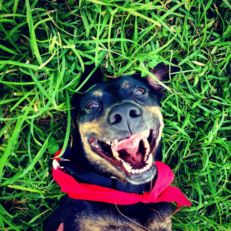 969581_10200324468967111_355677525_n