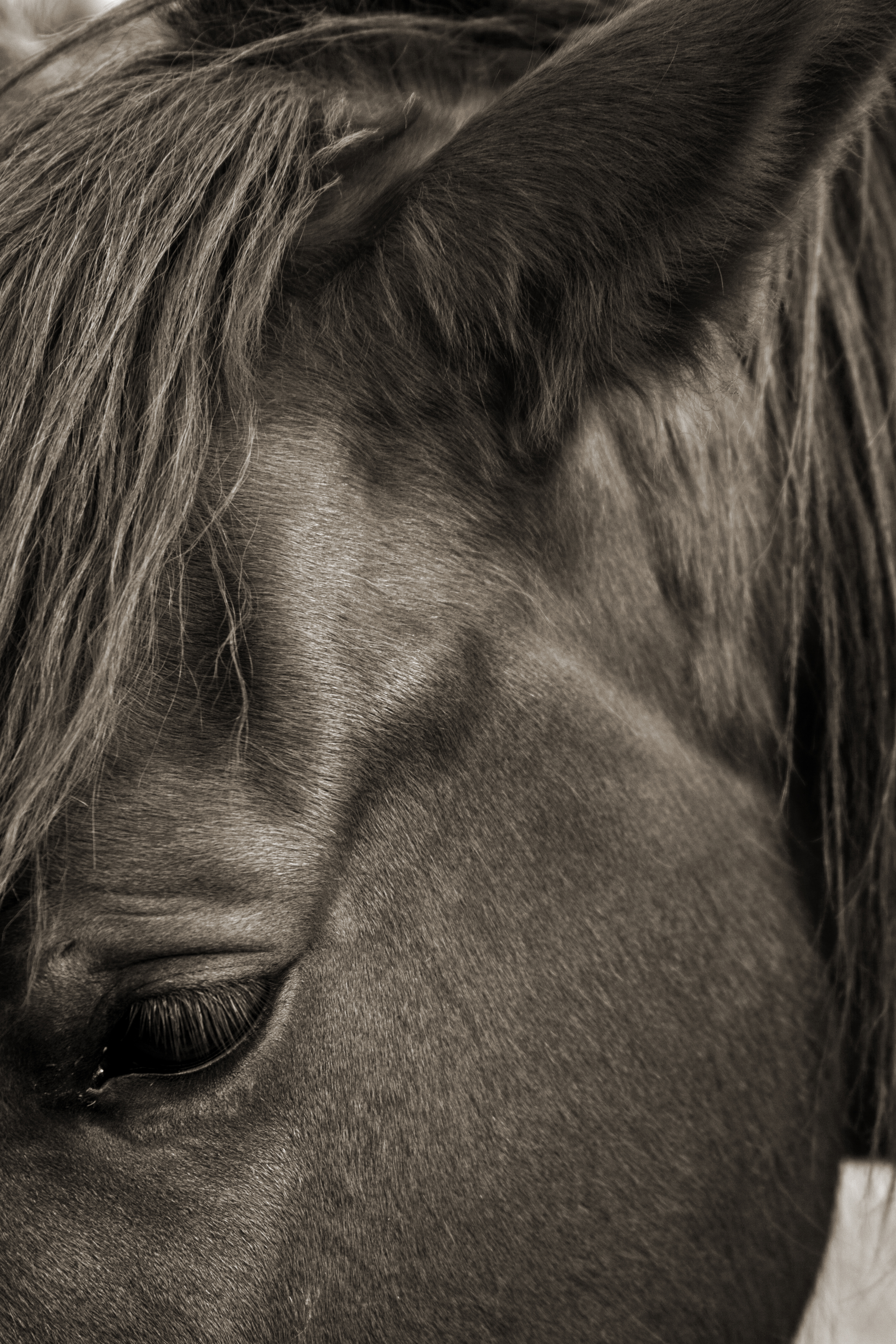 41285781342_31cd8de434_o